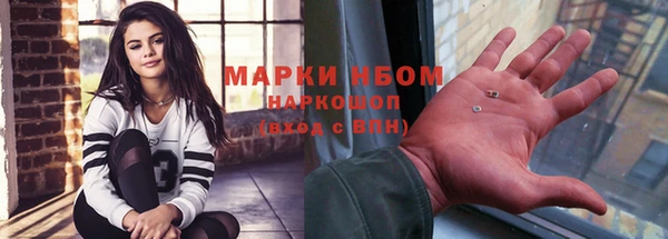 шишки Надым