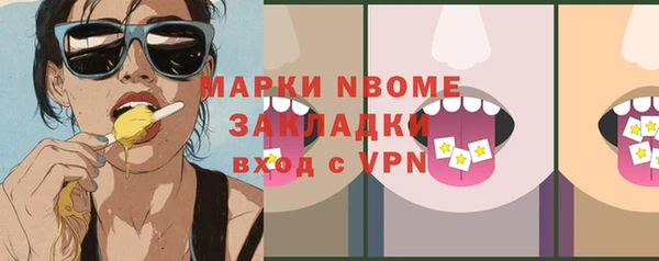 шишки Надым