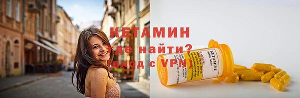 шишки Надым