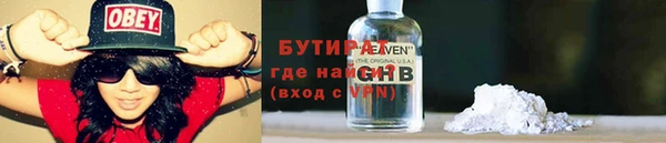 шишки Надым