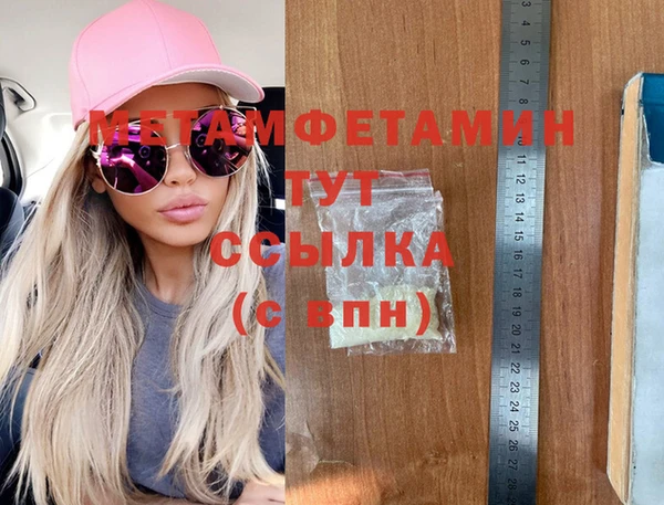 шишки Надым