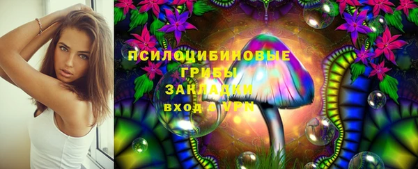 шишки Надым