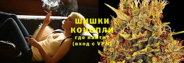 шишки Надым