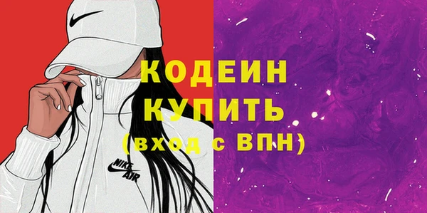 шишки Надым