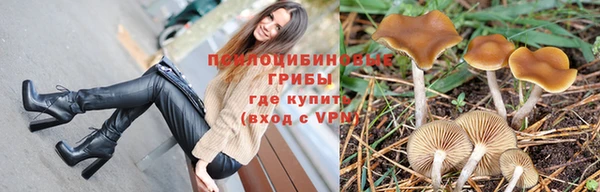 шишки Надым