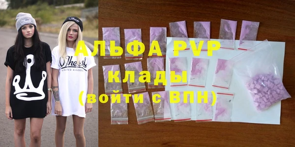 шишки Надым