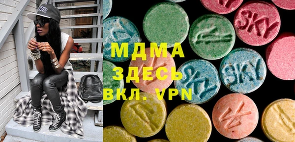 шишки Надым